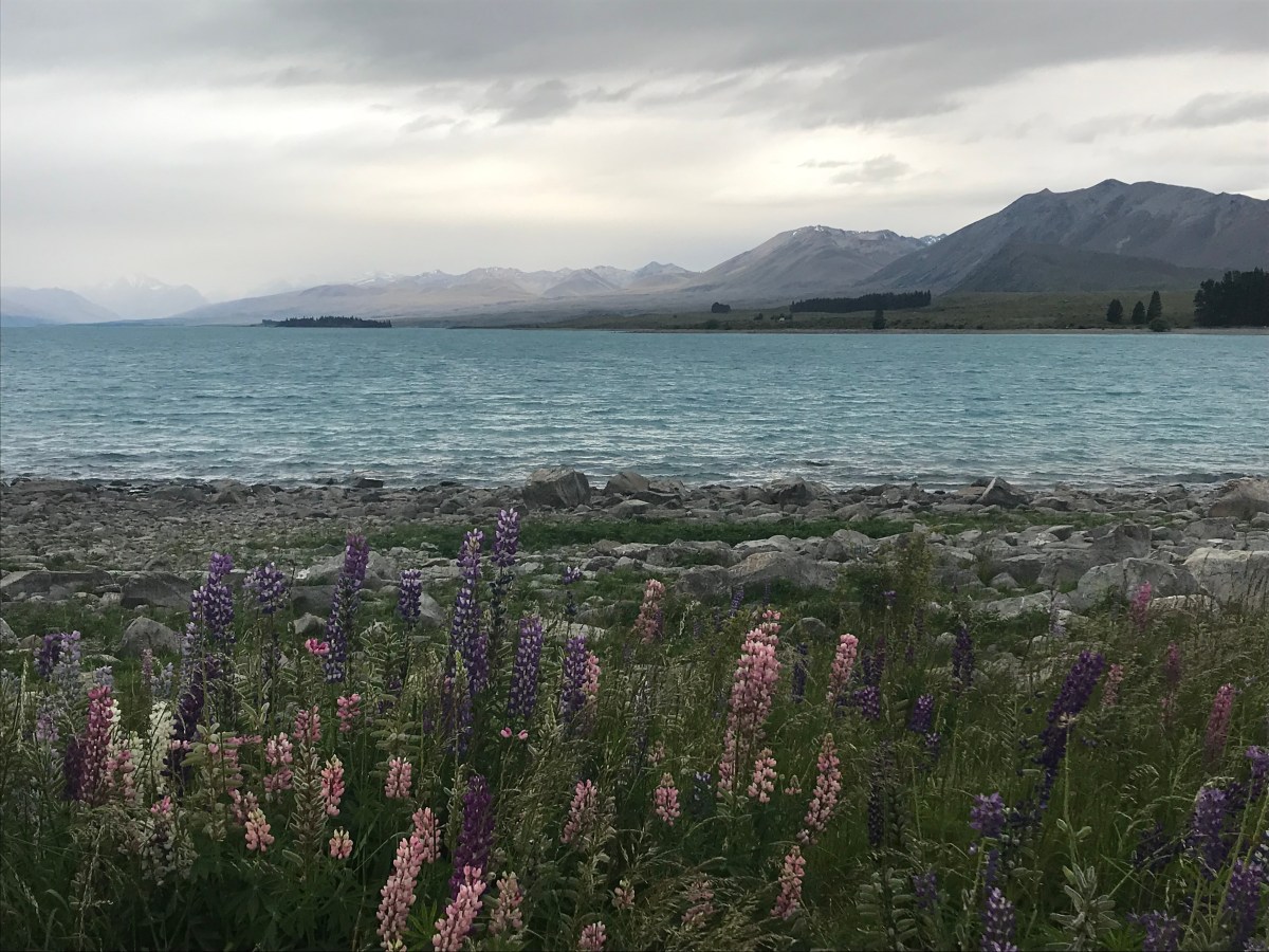 Tekapo